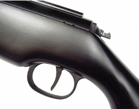 Пневматическая винтовка Diana 48 Black Professional