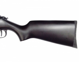 Пневматическая винтовка Diana 48 Black Professional
